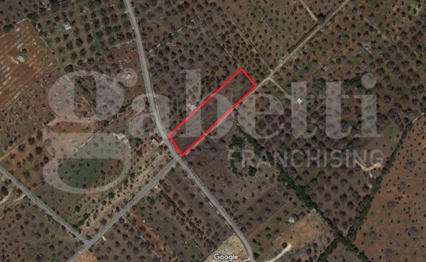 terreno agricolo in vendita ad Ugento