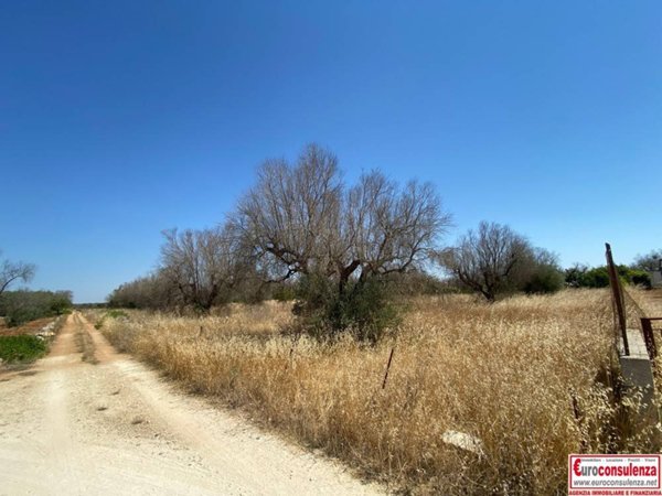 terreno agricolo in vendita ad Ugento