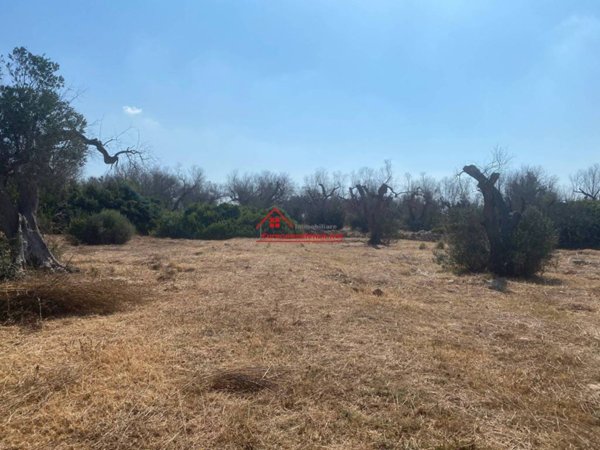 terreno agricolo in vendita ad Ugento