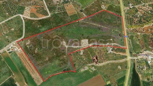 terreno agricolo in vendita ad Ugento