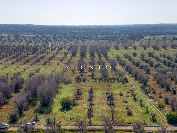 terreno agricolo in vendita ad Ugento