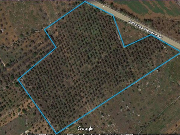 terreno agricolo in vendita ad Ugento
