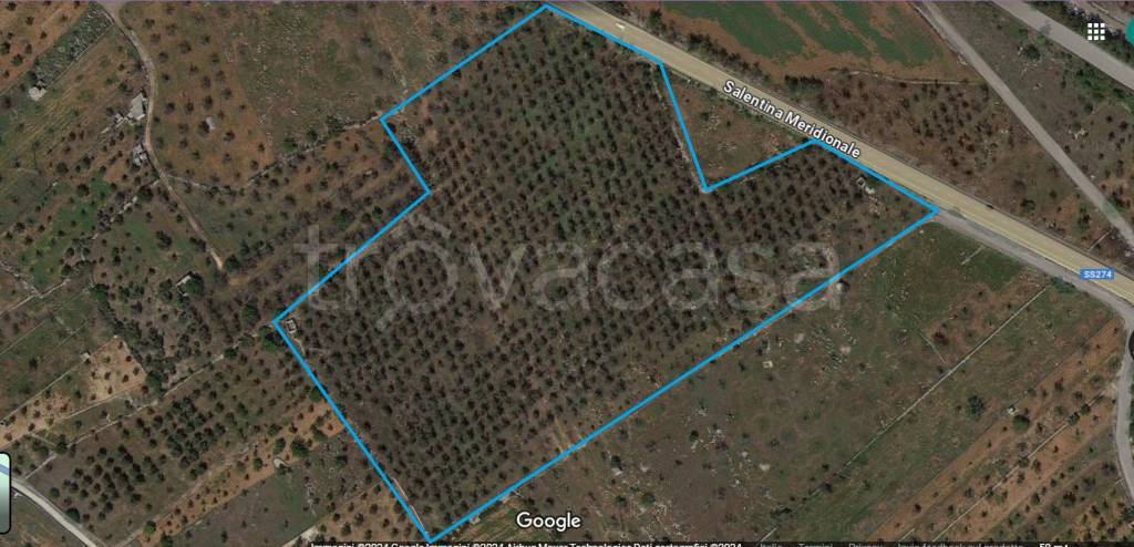 terreno agricolo in vendita ad Ugento