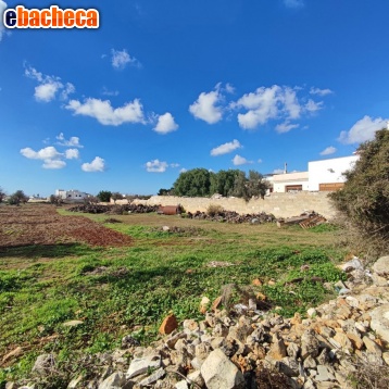 terreno edificabile in vendita ad Ugento in zona Torre San Giovanni