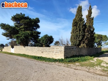 terreno edificabile in vendita ad Ugento