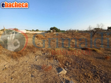 terreno agricolo in vendita ad Ugento