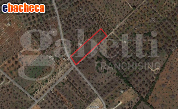 terreno agricolo in vendita ad Ugento