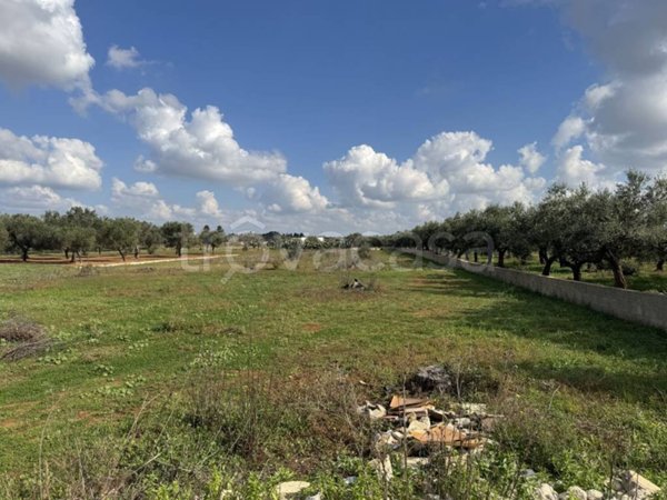 terreno agricolo in vendita ad Ugento