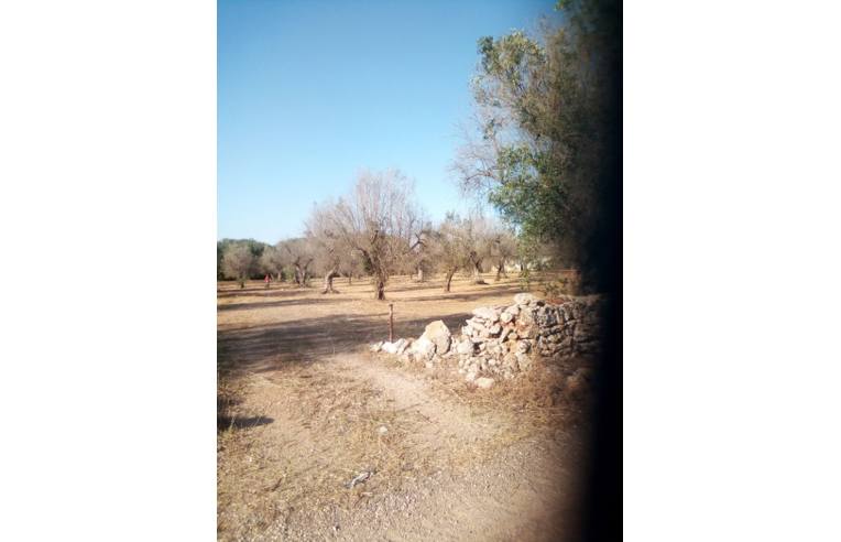 terreno agricolo in vendita ad Ugento in zona Gemini