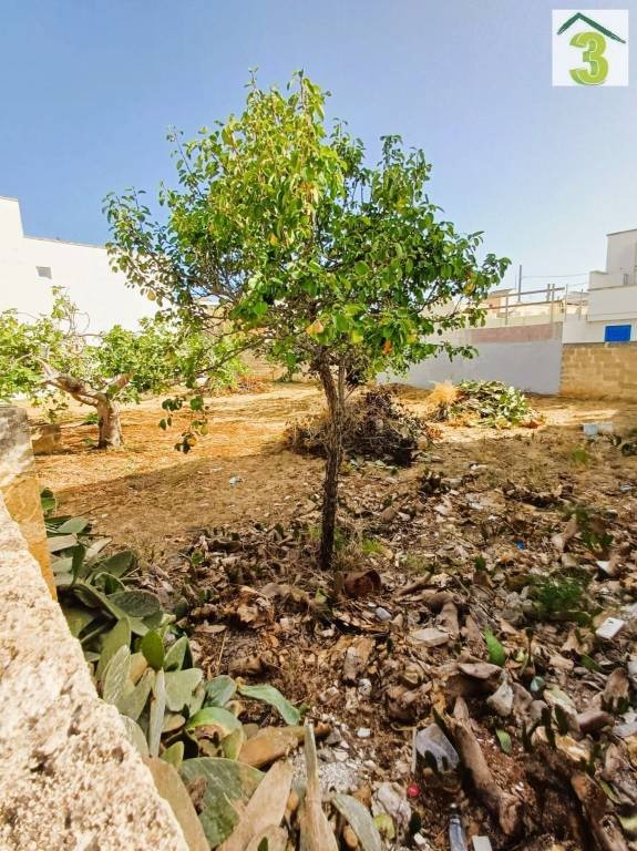 terreno agricolo in vendita ad Ugento in zona Lido Marini
