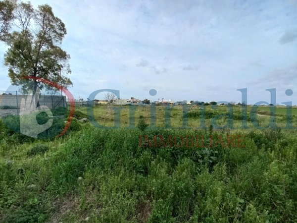 terreno agricolo in vendita ad Ugento
