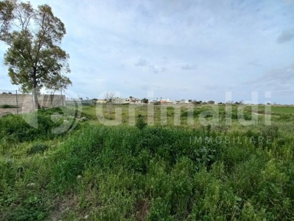 terreno agricolo in vendita ad Ugento