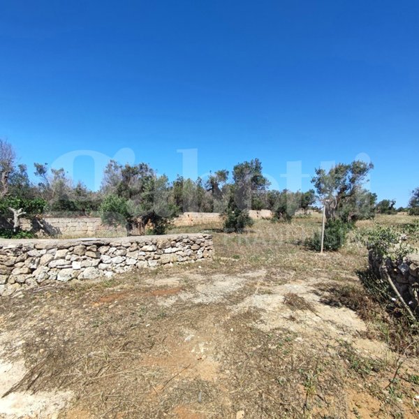 terreno agricolo in vendita ad Ugento
