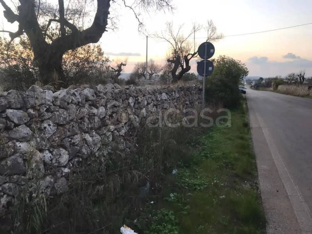 terreno agricolo in vendita ad Ugento