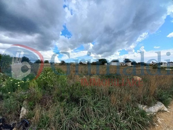 terreno agricolo in vendita ad Ugento in zona Torre San Giovanni