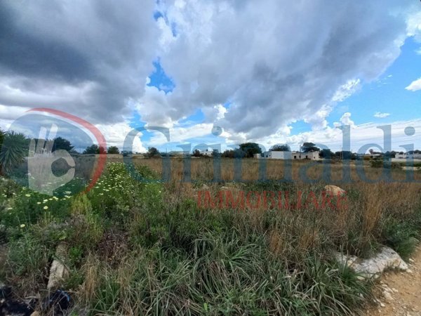 terreno agricolo in vendita ad Ugento in zona Torre San Giovanni