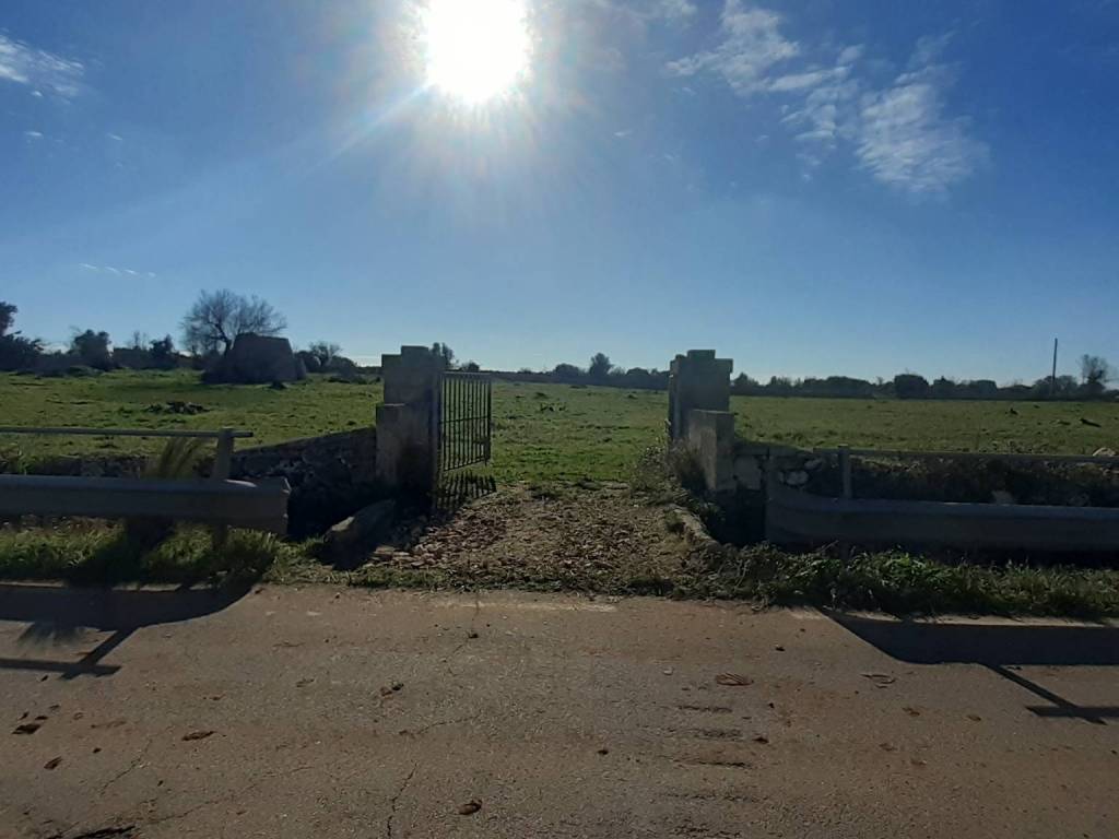 terreno agricolo in vendita ad Ugento in zona Torre San Giovanni