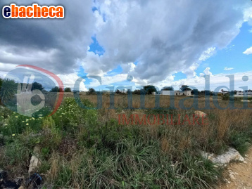 terreno agricolo in vendita ad Ugento in zona Torre San Giovanni