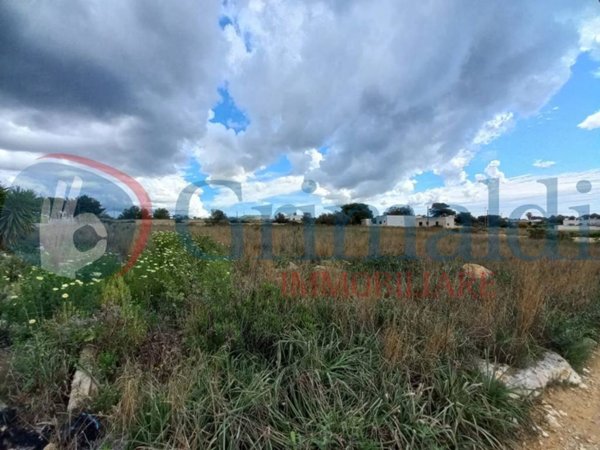 terreno agricolo in vendita ad Ugento in zona Torre San Giovanni