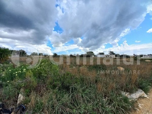 terreno agricolo in vendita ad Ugento in zona Torre San Giovanni