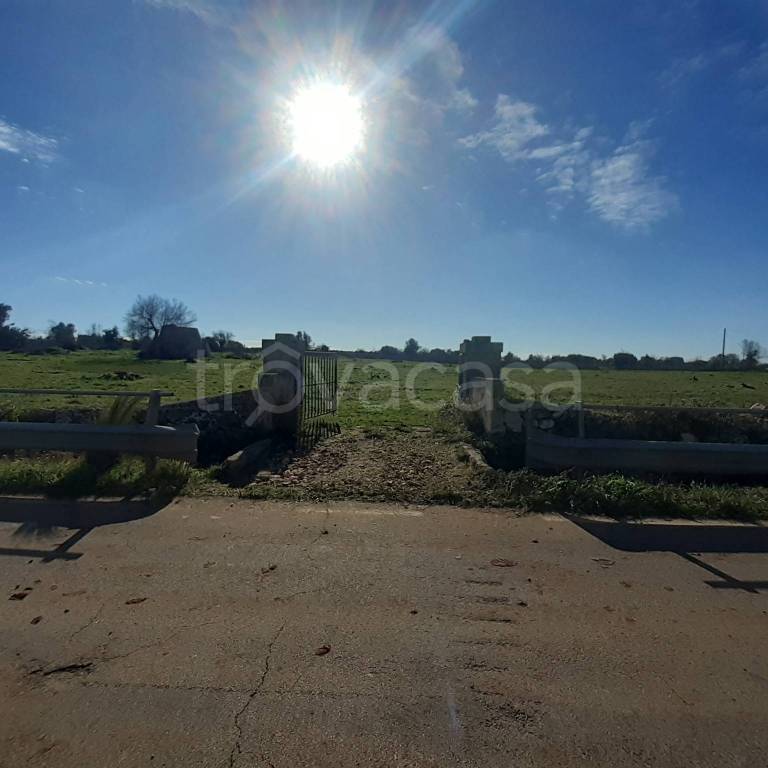 terreno agricolo in vendita ad Ugento in zona Torre San Giovanni