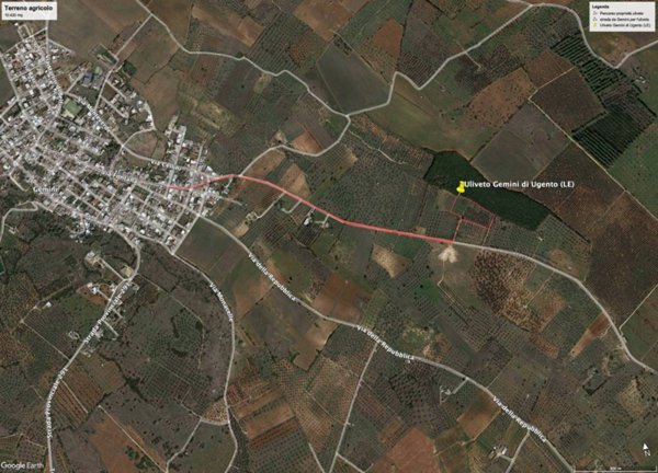terreno agricolo in vendita ad Ugento in zona Gemini