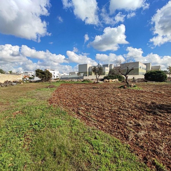 terreno agricolo in vendita ad Ugento in zona Torre San Giovanni
