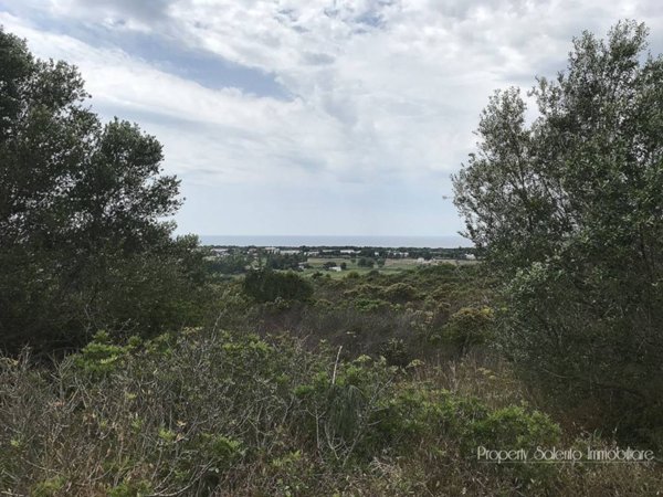 terreno agricolo in vendita ad Ugento in zona Torre San Giovanni