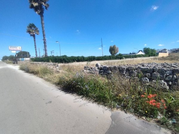 terreno agricolo in vendita ad Ugento