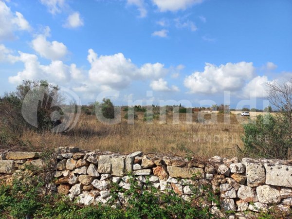 casa indipendente in vendita ad Ugento
