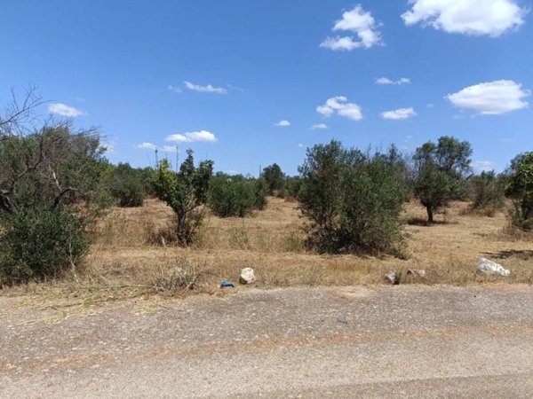 terreno agricolo in vendita ad Ugento