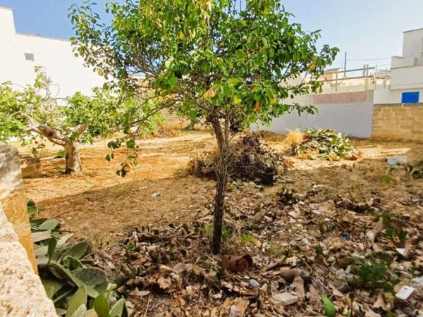 terreno agricolo in vendita ad Ugento in zona Lido Marini