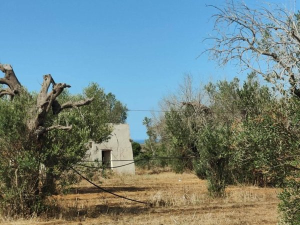 terreno agricolo in vendita ad Ugento in zona Gemini
