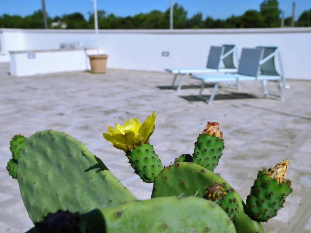 casa indipendente in vendita ad Ugento in zona Torre San Giovanni
