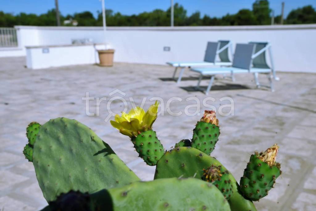 casa indipendente in vendita ad Ugento in zona Torre San Giovanni