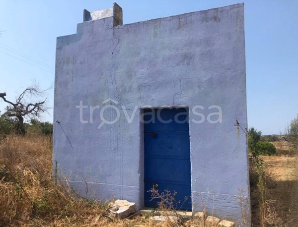 terreno agricolo in vendita ad Ugento