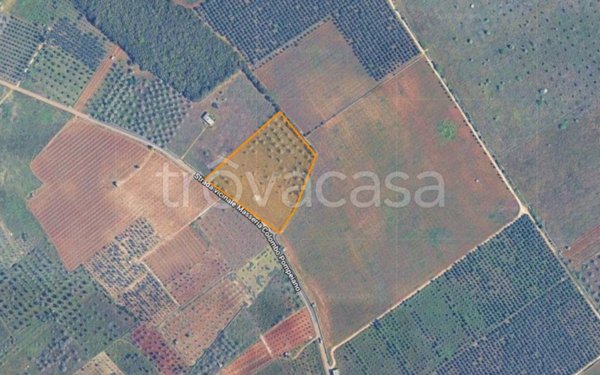terreno agricolo in vendita ad Ugento