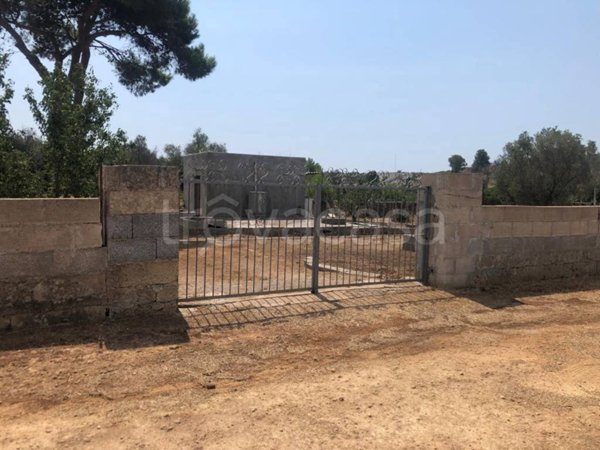 terreno agricolo in vendita ad Ugento