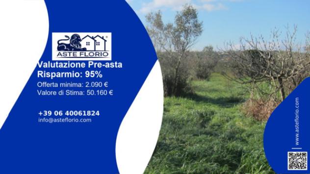 terreno agricolo in vendita ad Ugento in zona Gemini