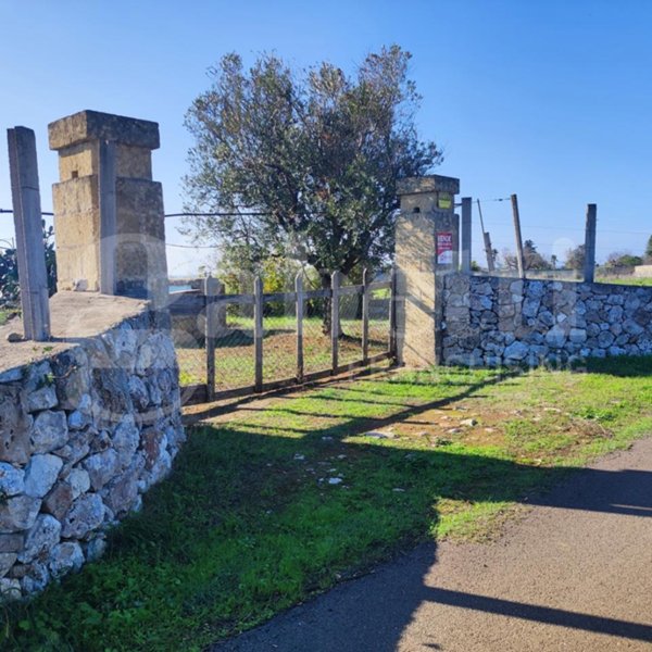 terreno agricolo in vendita ad Ugento