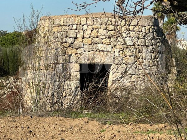 terreno agricolo in vendita ad Ugento