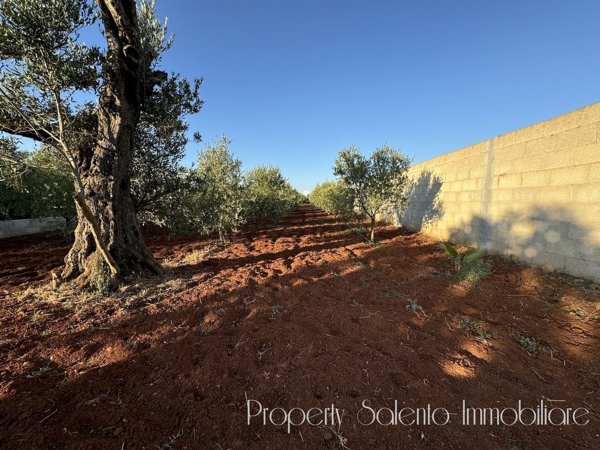 terreno agricolo in vendita ad Ugento