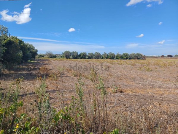 terreno agricolo in vendita ad Ugento in zona Gemini