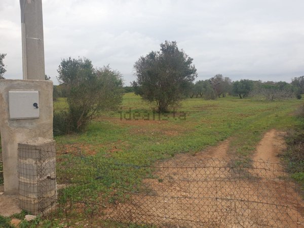 terreno agricolo in vendita ad Ugento