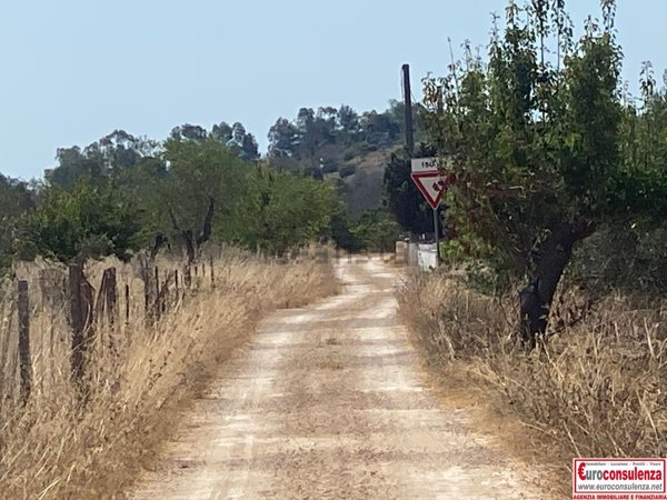 terreno agricolo in vendita ad Ugento