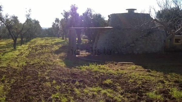 terreno agricolo in vendita ad Ugento in zona Torre Mozza