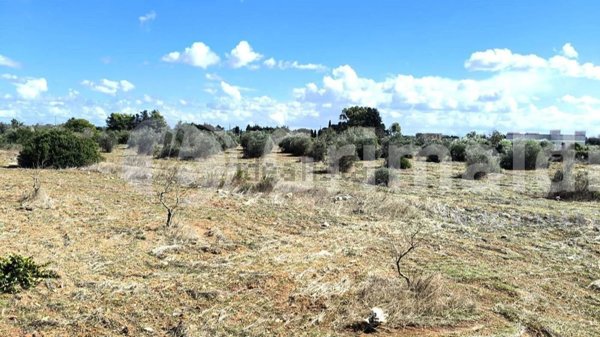terreno agricolo in vendita ad Ugento