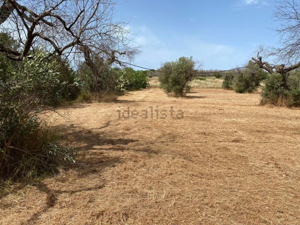 terreno agricolo in vendita ad Ugento