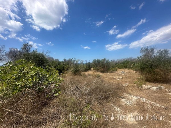 terreno agricolo in vendita ad Ugento