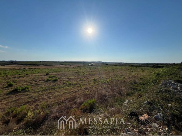 terreno agricolo in vendita ad Ugento
